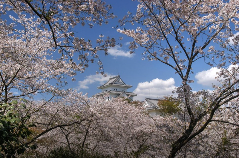 天ヶ城運動公園